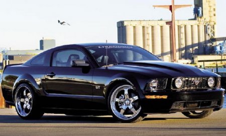 Mustang    
